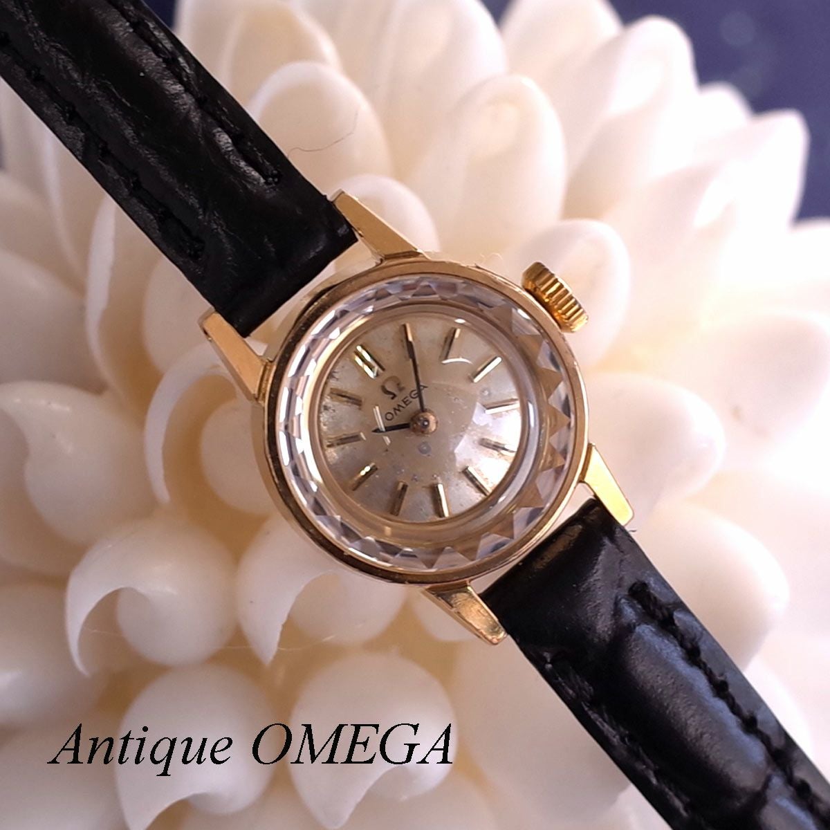 OMEGA | ブランドショップ パリノ